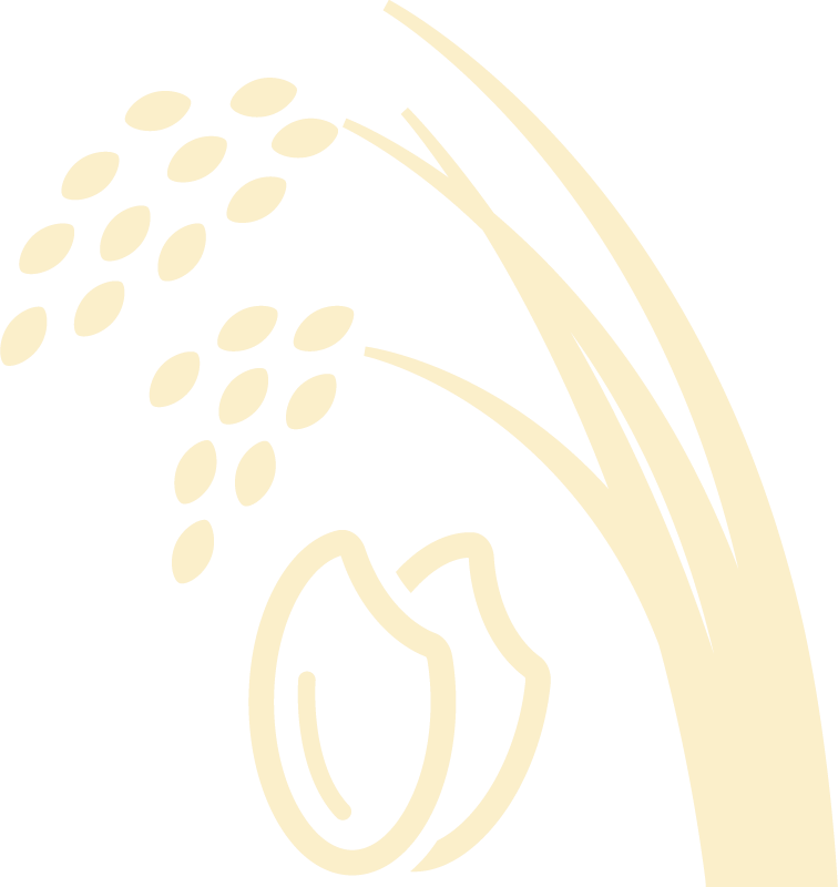 ポイント